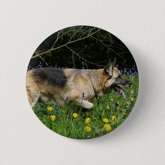 Schäferhund in den gelben Blumen Button (Vorderseite)