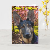 Schäferhund in der Parkgeburtstagskarte Karte (Gelbe Blume)