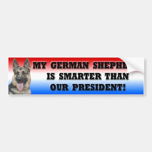 Schäferhund intelligenter als Präsident Autoaufkleber (Vorne)