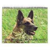 Schäferhund-Kalender 2015 Kalender (Titelbild)