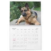 Schäferhund-Kalender Kalender (Mär 2027)