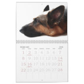 Schäferhund-Kalender Kalender (Feb 2026)