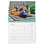 Schäferhund-Kalender Kalender (Jan 2026)