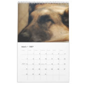 Schäferhund-Kalender Kalender (Mär 2027)