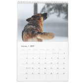 Schäferhund-Kalender Kalender (Jan 2027)