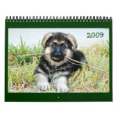 Schäferhund-Kalender Kalender (Titelbild)