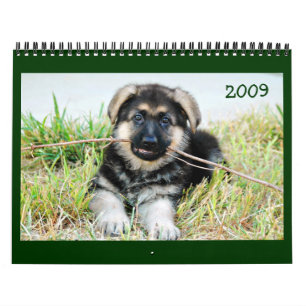Schäferhund-Kalender Kalender