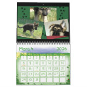 Schäferhund-Kalender Kalender (Mär 2026)