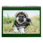 Schäferhund-Kalender Kalender (Titelbild)