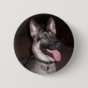 Schäferhund-Knopf Button
