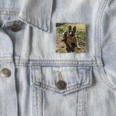 Schäferhund-Knopf Button (Beispiel)