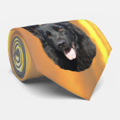 Schäferhund Krawatte (Gerollt)