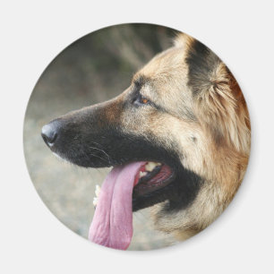 Schäferhund Magnet