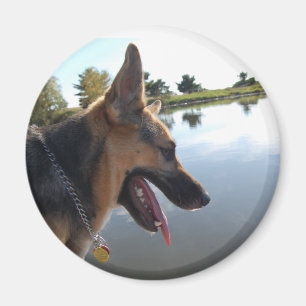Schäferhund Magnet