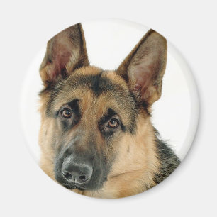 Schäferhund Magnet