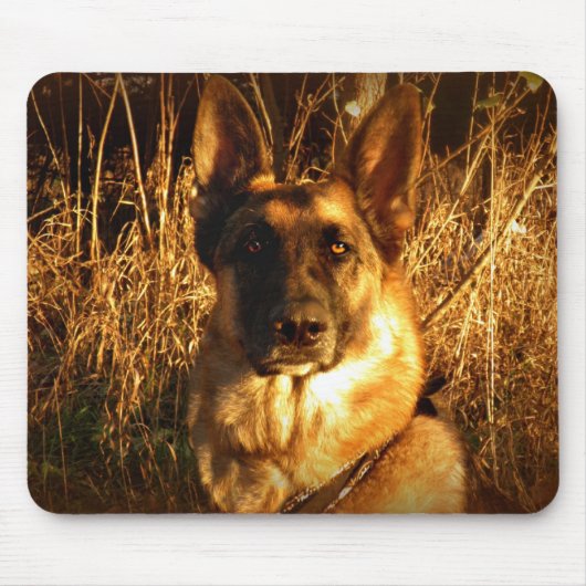 Schäferhund-Mausunterlage Mousepad (Vorne)
