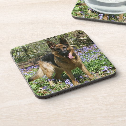 Schäferhund-Niederlegung Getränkeuntersetzer (Linke Seite)