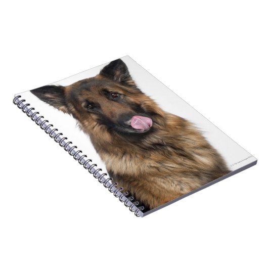 Schäferhund Notizblock (Rechte Seite)