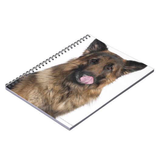 Schäferhund Notizblock (Linke Seite)