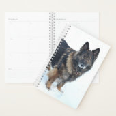 Schäferhund Planer (Anzeige)