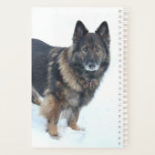 Schäferhund Planer (Rückseite)