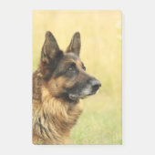 Schäferhund Post-it Klebezettel (Vorderseite)