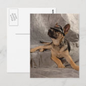 Schäferhund Postkarte (Vorne/Hinten)