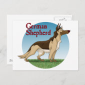 Schäferhund Postkarte (Vorne/Hinten)