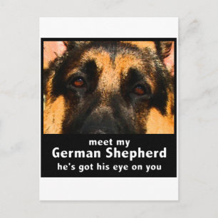 Schäferhund Postkarte