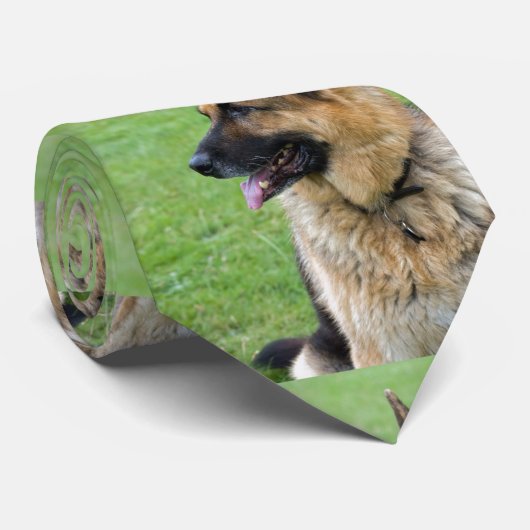 Schäferhund-Profil Krawatte (Gerollt)