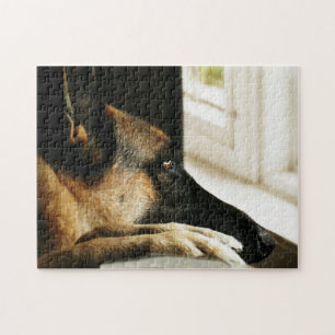 Schäferhund Puzzle