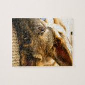 Schäferhund Puzzle (Horizontal)