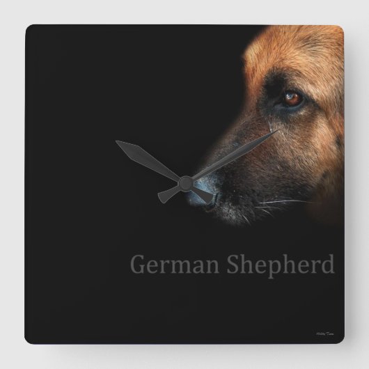 Schäferhund Quadratische Wanduhr (Vorderseite)