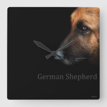 Schäferhund