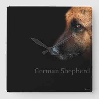 Schäferhund Quadratische Wanduhr