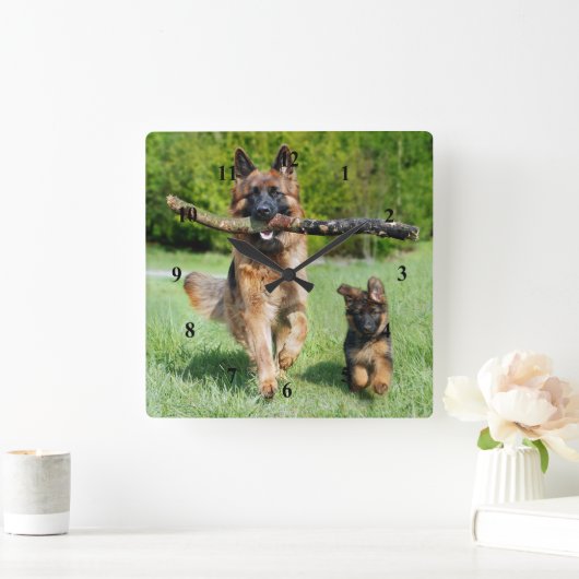 Schäferhund Quadratische Wanduhr (Zuhause)