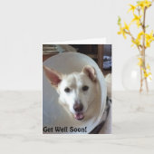 Schäferhund-Rettung zentrales Texas erhalten wohle Karte (Gelbe Blume)