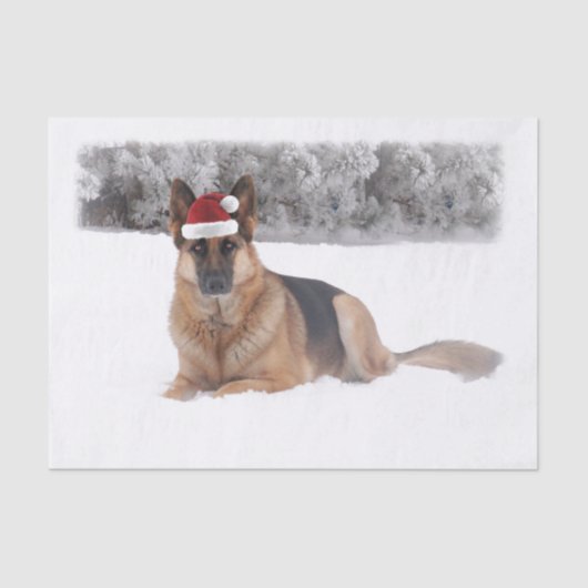 Schäferhund-Seidenpapier Seidenpapier (Vorderseite)