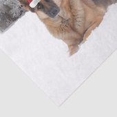 Schäferhund-Seidenpapier Seidenpapier (Ausschnitt)