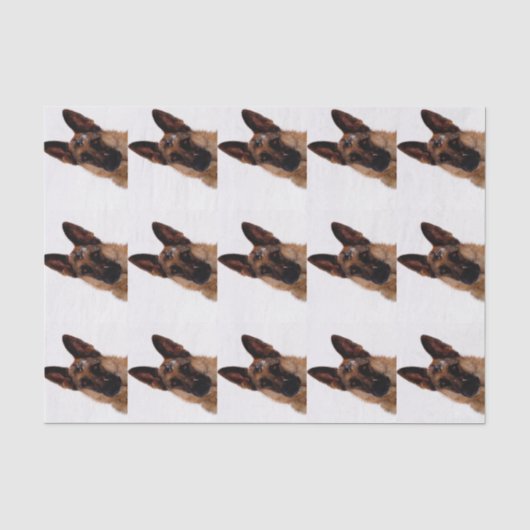 Schäferhund-Seidenpapier Seidenpapier (Vorderseite)