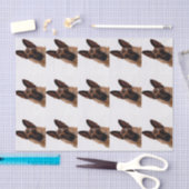 Schäferhund-Seidenpapier Seidenpapier (Handwerk)