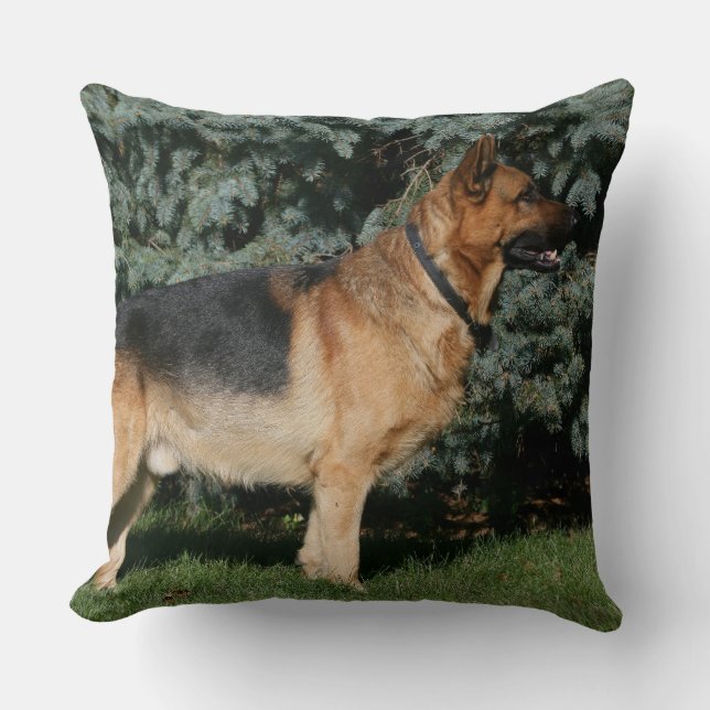 Schäferhund-Show-Stand Kissen (Vorderseite)