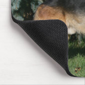 Schäferhund-Show-Stand Mousepad (Ecke)