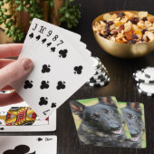 Schäferhund Spielkarten (In Situ)