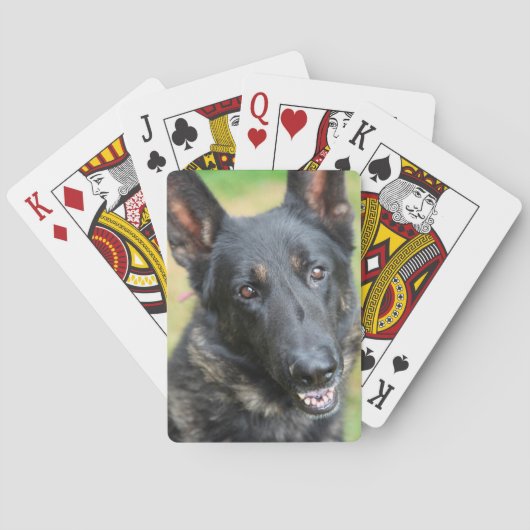Schäferhund Spielkarten (Rückseite)