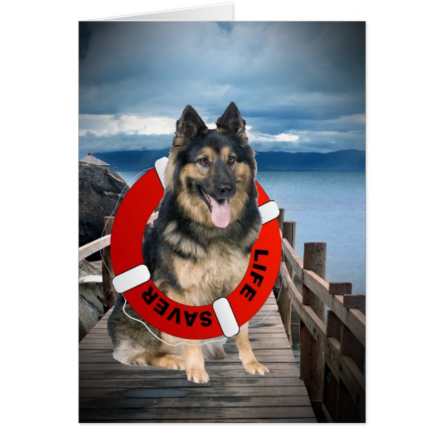Schäferhund-Such-u. Rettungs-Karten (Vorne)
