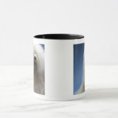 Schäferhund Tasse (Zentrum)