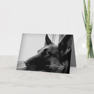 Schäferhund vermisst Sie Gruß-Karte Karte
