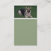 Schäferhund-Visitenkarte Visitenkarte (Rückseite)