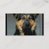 Schäferhund-Visitenkarte Visitenkarte (Rückseite)